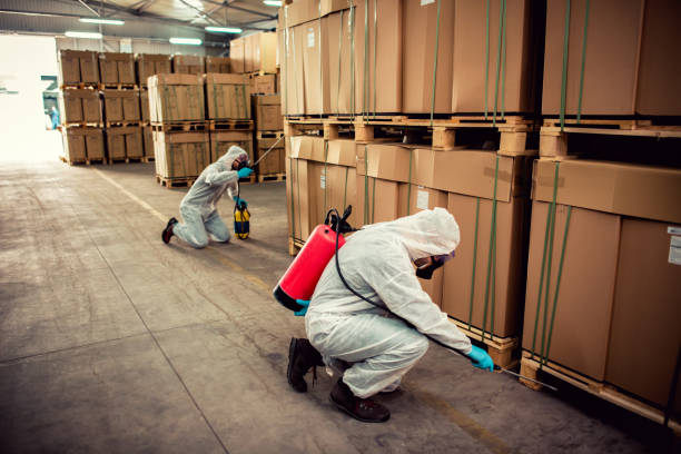 Wasp Removal Services in Taylorsville, NC