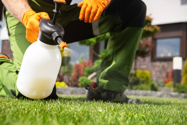 Best Pest Inspection Near Me  in Taylorsville, NC