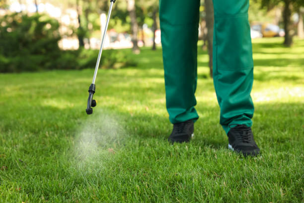 Best Insect Control  in Taylorsville, NC