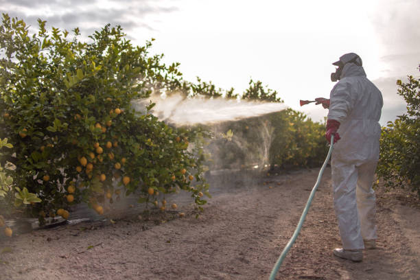 Best Pest Prevention Services  in Taylorsville, NC