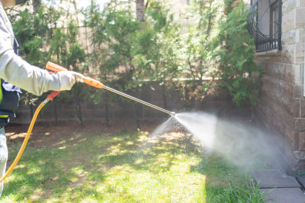 Best Local Pest Control Services  in Taylorsville, NC