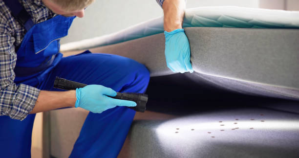 Best Exterminator Services  in Taylorsville, NC