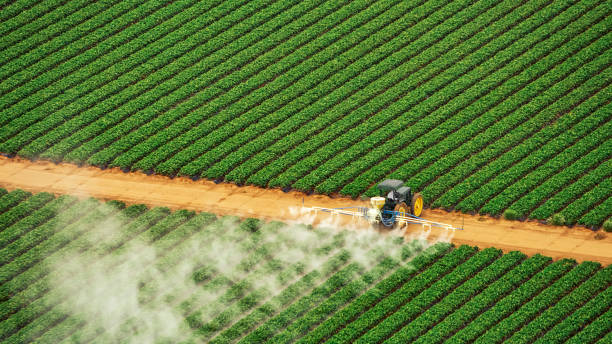Professional Pest Control in Taylorsville, NC