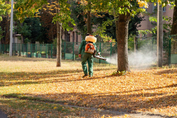 Best Insect Control  in Taylorsville, NC