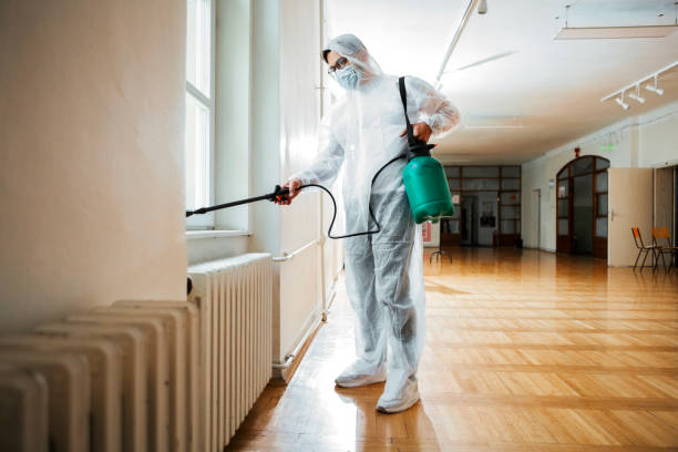 Best Pest Removal Services  in Taylorsville, NC
