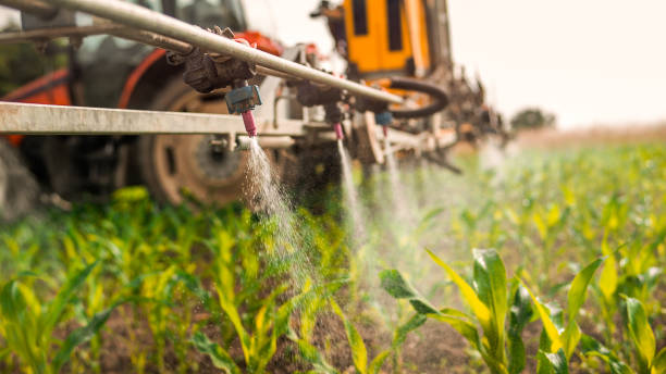 Best Mosquito Control Services  in Taylorsville, NC